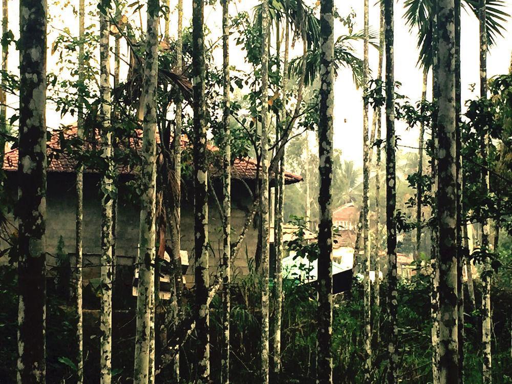 Vedanta Wake Up Wayanad Edakkal Caves Hotel Ambalavayal Exterior photo
